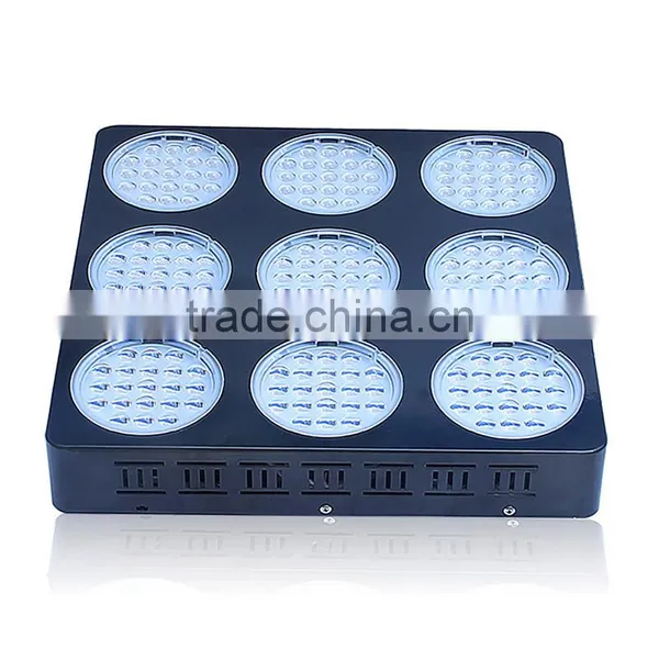 2017 Hot Sales High Efficient 3W LED Diodes 300W 400W 600W Led Grow Light photo-5