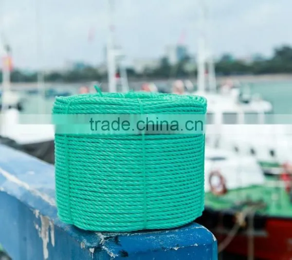 Chemical Resistance Polyester Rope photo-6