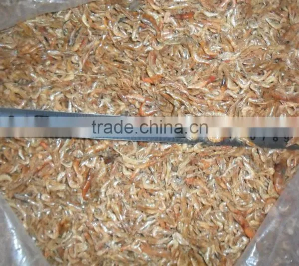 Shrimp Exporters Natural Sun Dried Shrimp Fish Feed photo-2