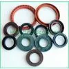 TC Oil Seal