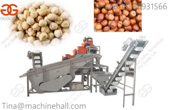 Hazelnut Sheller Machine for Hot Selling in Factory Price China Supplier Hazelnut Shelling Machine photo-2