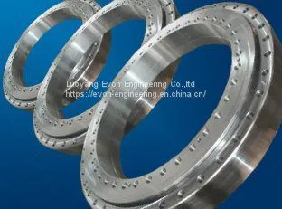 Rks. 302070202001 Slewing Drive Slewing Bearing for Truck Mounted Crane photo-5