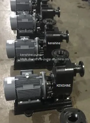 CWF Sewage Centrifugal Pump With Open Impeller photo-5