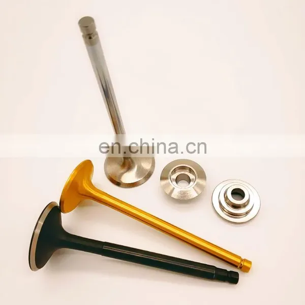 Ferrea Quality Parts For Mitsubishi Evo 1 2 3 CD9A CE9A 4 5 6 CP9A 7 8 9CT9A 1G 2G 4G63 4g63t 4g64 4g93 4g94 Race Engine Valves photo-6