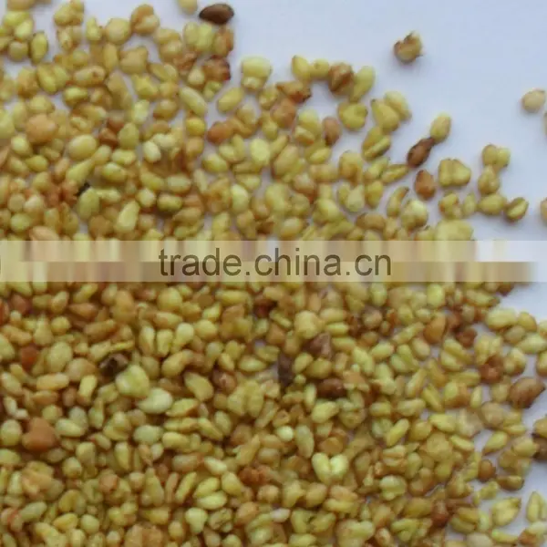 Bitter Buckwheat Kernel photo-2