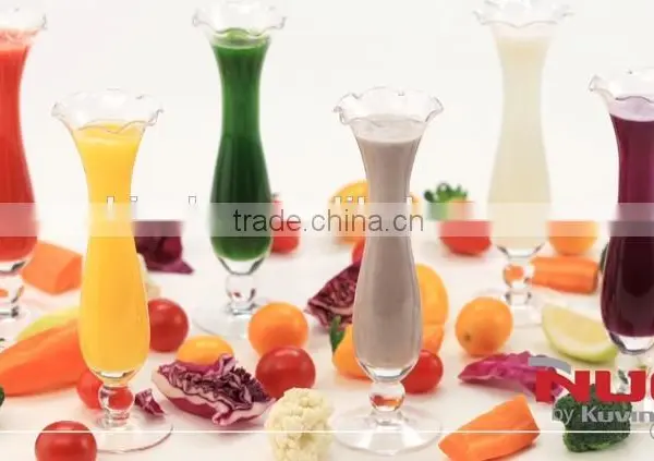 Commercial Cold Press Electric Citrus Juicer & Commercial Juicer Extractor photo-6