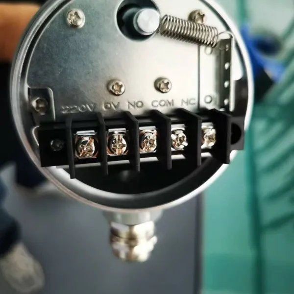 Rotary Paddle Level Switch photo-5