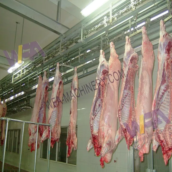 50-500 Heads Per Shift Pig Slaughter Production Line Full Set Pig Abattoir Processing Equipment SUS304 photo-4