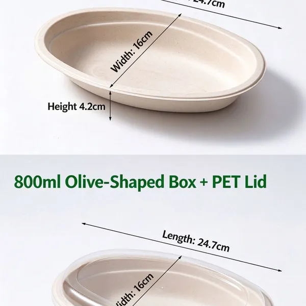 Heavy-Duty Disposable Oval Plate 35g From Bagasse Pulp, Heat-Resistant up to 120°C, Stackable, BPA-Free Lunch Plate photo-3