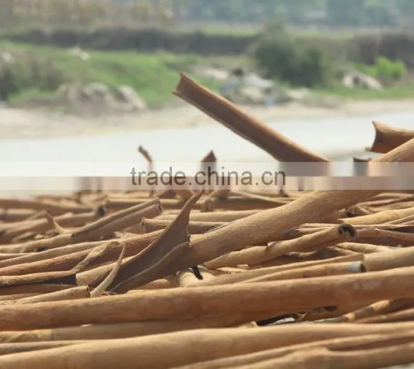 New Crop 2016 Split Cassia/Cinnamon Vietnam Best Quality