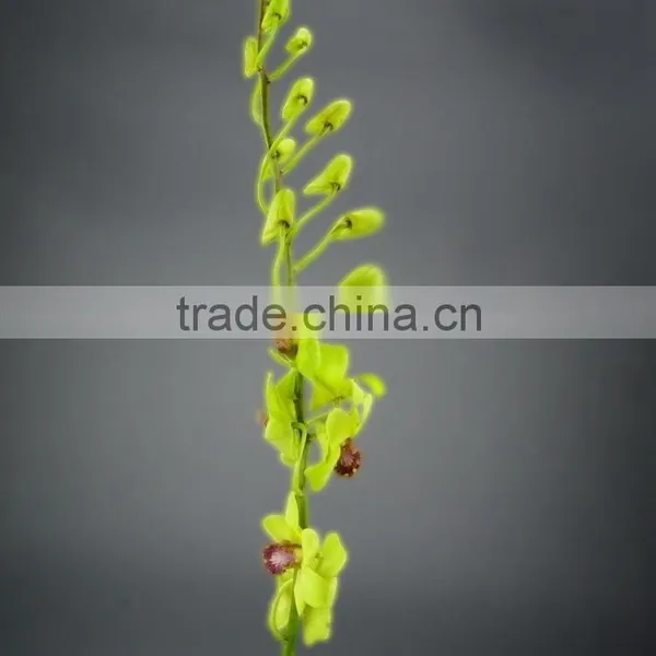 Super Quality Hot Sale Mini Wholesale Violet Orchid Cattleya photo-4