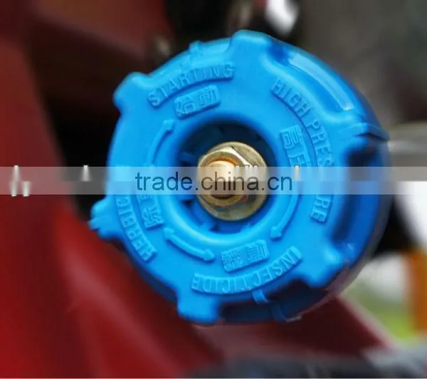 2013 Hot Sales Knapsack Power Sprayer photo-3