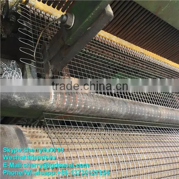 High Quality Low-carbon Steel Wire Welded Wire Mesh / Square Hole Galvanized Welded Wire Mesh----WMSL038