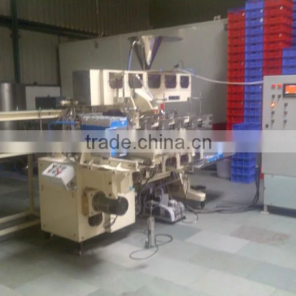 DUPLEX CARTON SEALING MACHINE