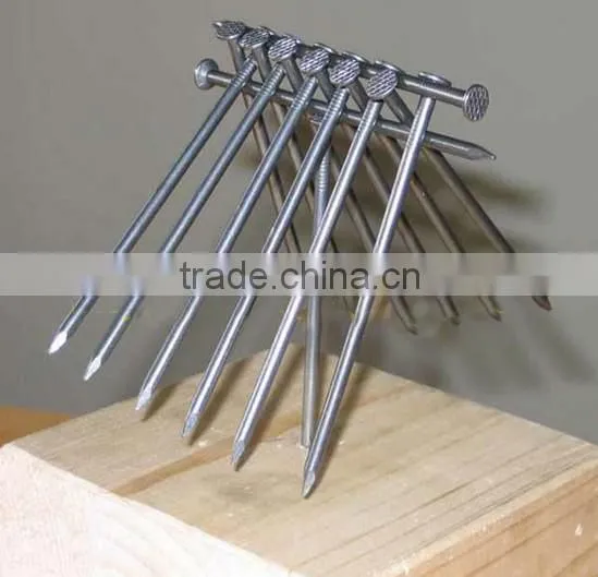 New Type Common Wire Nails Suppliers Directly photo-6