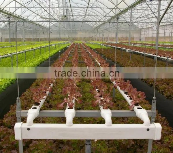 Efficient Solar Energy Powered Greenhouses and Hydroponics NFT Tomato Lettuce photo-5
