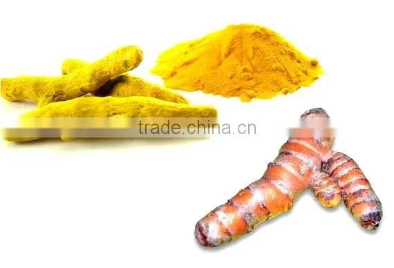 Turmeric Oil Extraction
