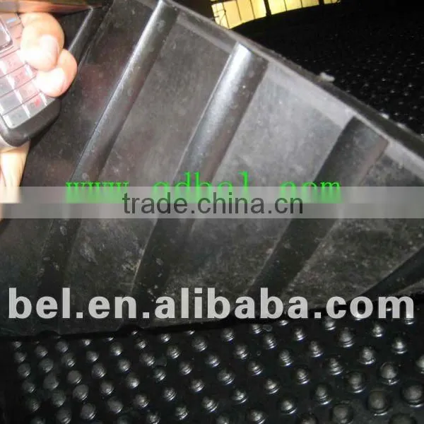 Rubber Cow Mat in Stable