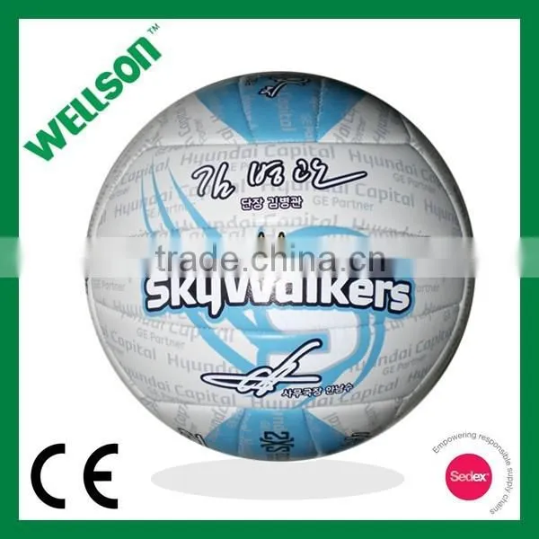 Signature Volleyball for Fans photo-3