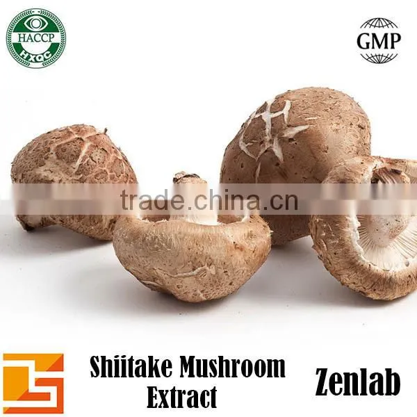 Hot Sell Best Quality Shitake Mushrooms Extract Powder