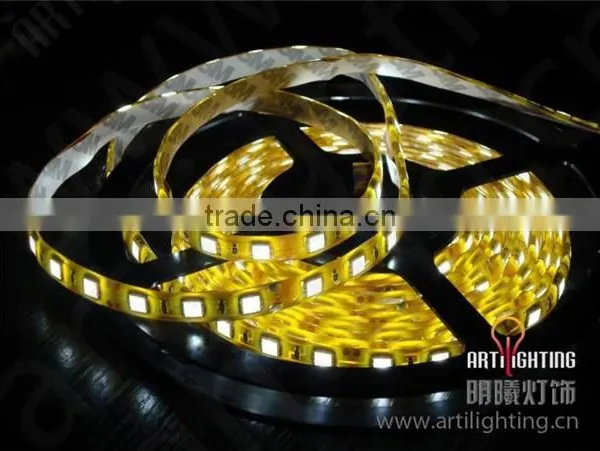 High Brightness Outdoor Solar Strip Light photo-3