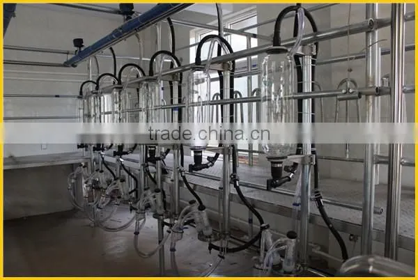 Milking Sheep Parlor in Dairy Farm photo-2