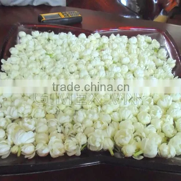 JASMINE GREEN TEA photo-2