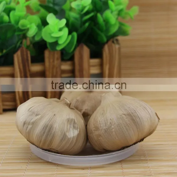 Losing Weight Black Garlic Improving Immune Function photo-2