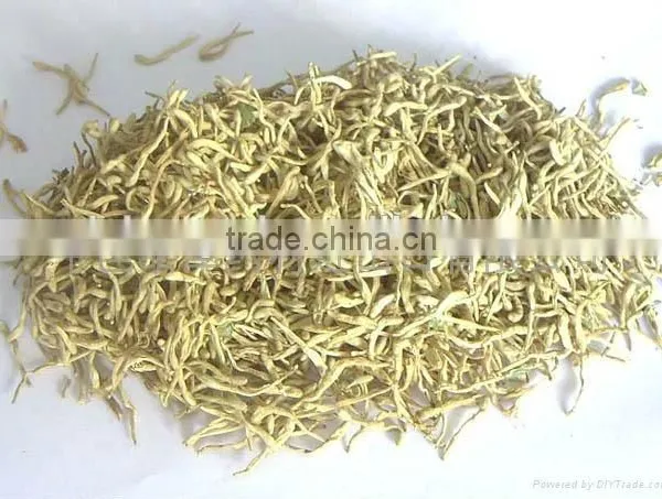 Honeysuckle(medicine)