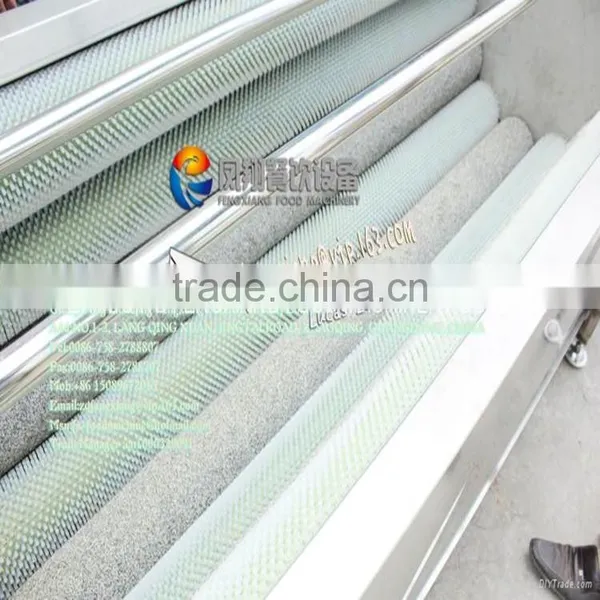 MSTP-1000 High Efficiency Potato Washng and Peeling Machine,fruit Washing Machine,commercial Vegetable Washer With Attrition photo-6