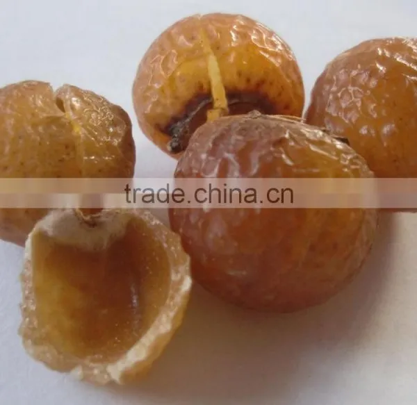 Soap Nuts/Organic Soap/Herbal Soap/Himalayan Soap Nuts photo-4