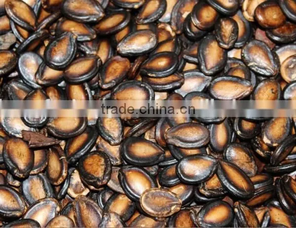 China Black Watermelon Seeds for Buyers