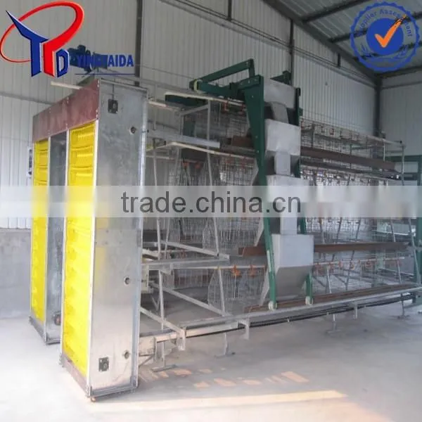 Anping Layer Chicken and Broiler Chicken Cage Factory photo-6