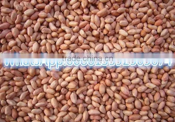 ISO Approved Peanut Oil Press Machine / Cold Press Oil Machine for Hot Sale photo-3