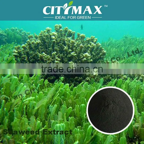 Seaweed Quality Swiss Mineral Water