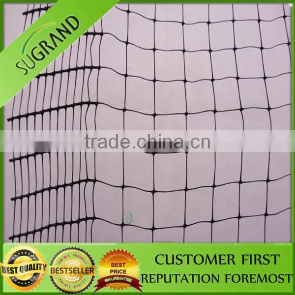 100% HDPE UV Agricultural Anti Bird Net / Fruit Tree Anti Bird Net photo-6