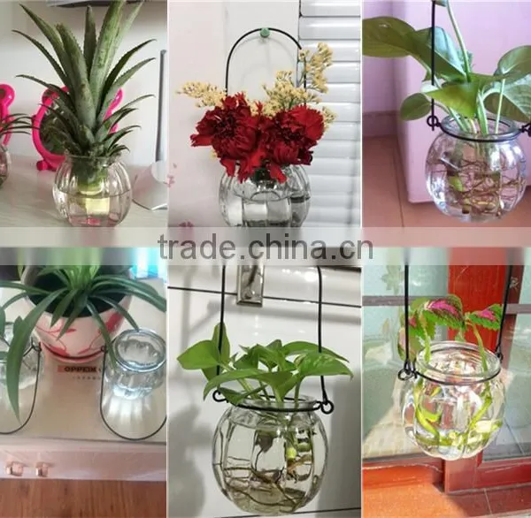 Hang Transparent Glass Vase/Other Copper Grass Plants Hang Bottle Hydroponic Flower Pot photo-6