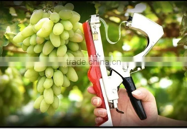 2014 New Design SUCA Tapetool /vine Binding Machine Made in China photo-3