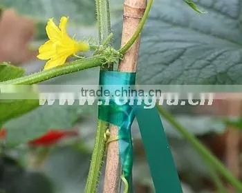 Colorful PVC Plastic Garden Tape photo-3
