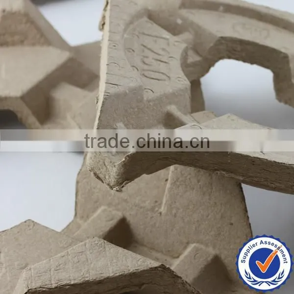 Pulp Moulding photo-5