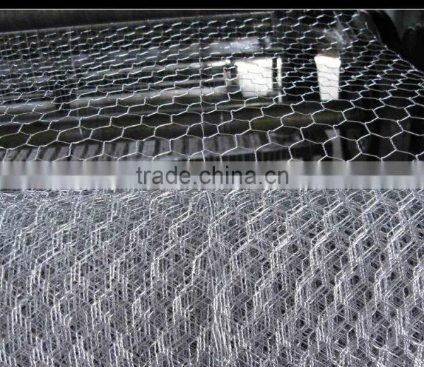 China Supplier Welded Wire Mesh photo-4