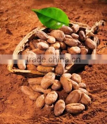 Alkalized Cocoa Powder photo-3