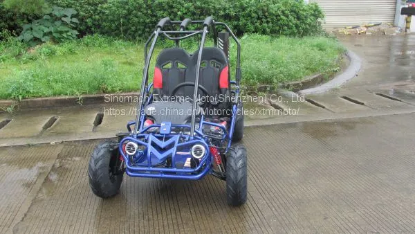 Hammerhead Mini 50 детский внедорожный багги из Китая photo-5