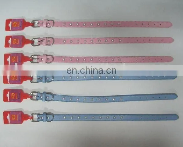 Pet Collar & Leash