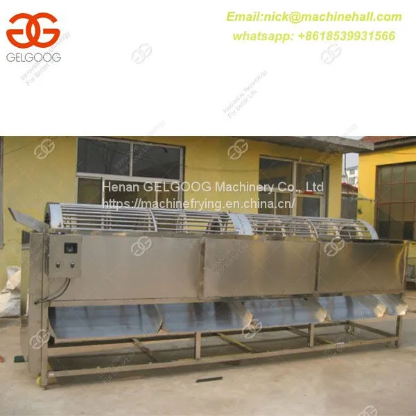 Mangoes Sorting Machine/Mango Sorting Machine for Sale/Professional Mango Sorting Machine photo-4
