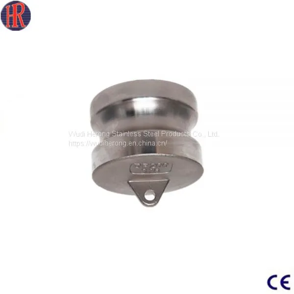 cam lock coupling stainless steel bsp threaded