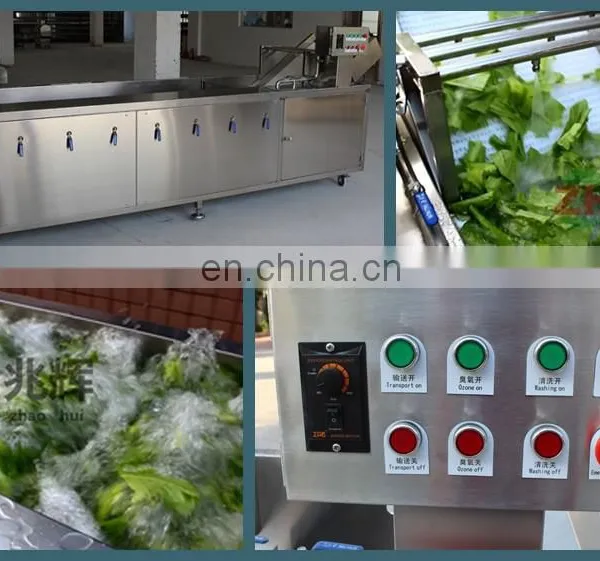 Fruit and Vegetable Processing Machines/food Production Line Equipment/fruit And Vegetable Washing Machine photo-7