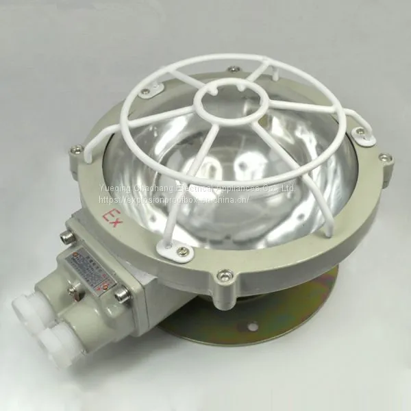 Explosion-proof ceiling lamp BAX51-100 Series Explosion proof lamp