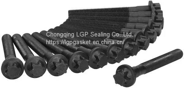 Cylinder Head Bolt Kits for Benz OEM 6119901322 Ajusa 81028300