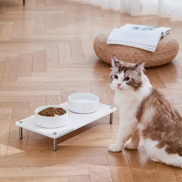 Elevated Pet Food Feeding Mat Water Absorbing Diatomite Stone Drying Rack photo-3